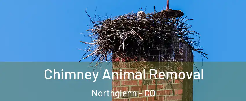 Chimney Animal Removal Northglenn - CO