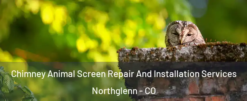  Chimney Animal Screen Repair And Installation Services Northglenn - CO
