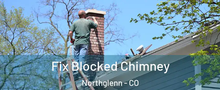  Fix Blocked Chimney Northglenn - CO