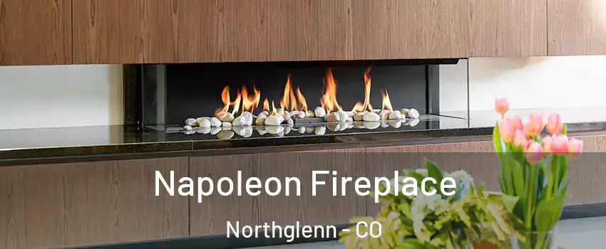  Napoleon Fireplace Northglenn - CO